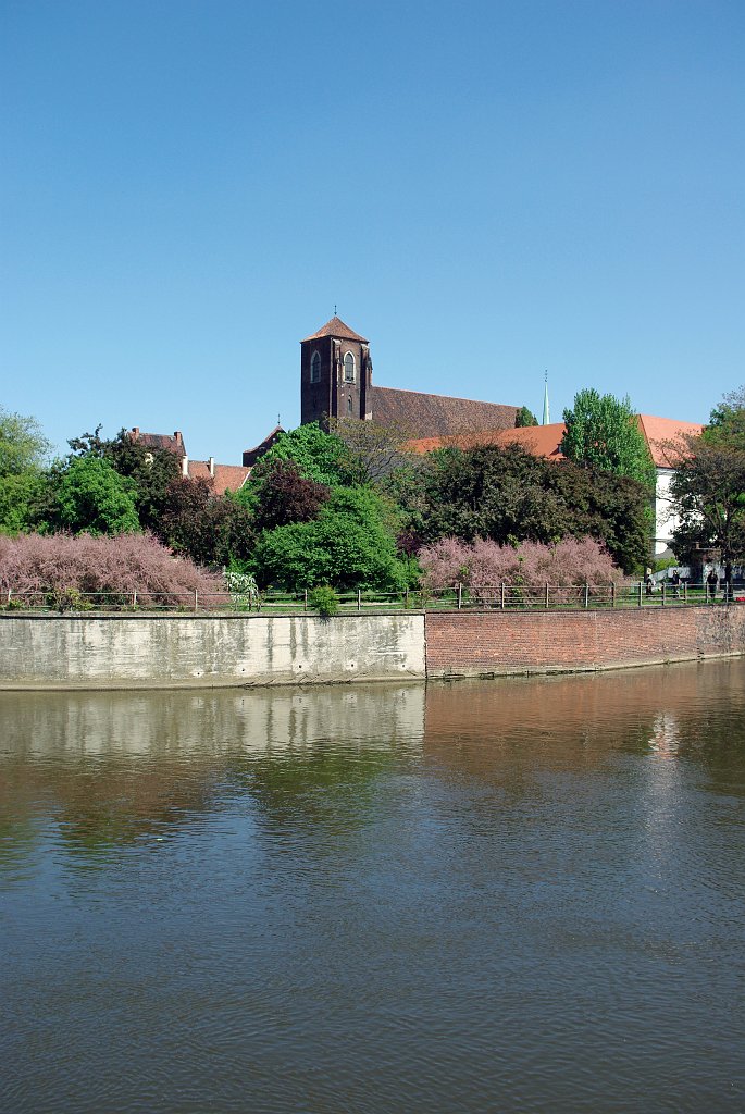 IMGP5895.jpg