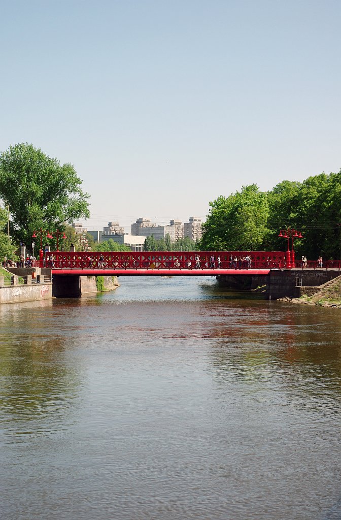 IMGP5896.jpg