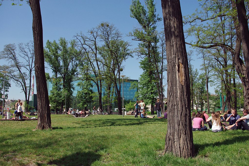 IMGP5911.jpg