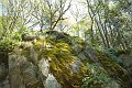 IMGP5646-01