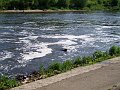 P5032593