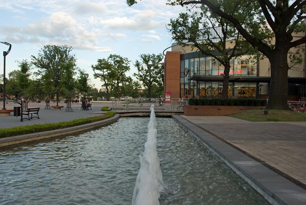 IMGP6576.jpg