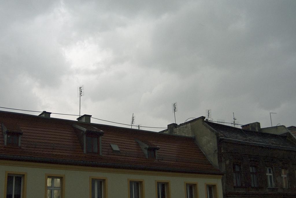 IMGP6875.jpg