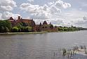 IMGP8387-01