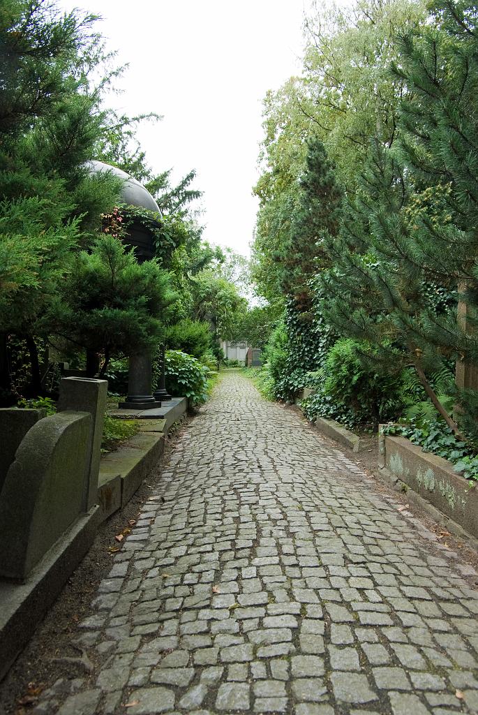 IMGP8744.jpg
