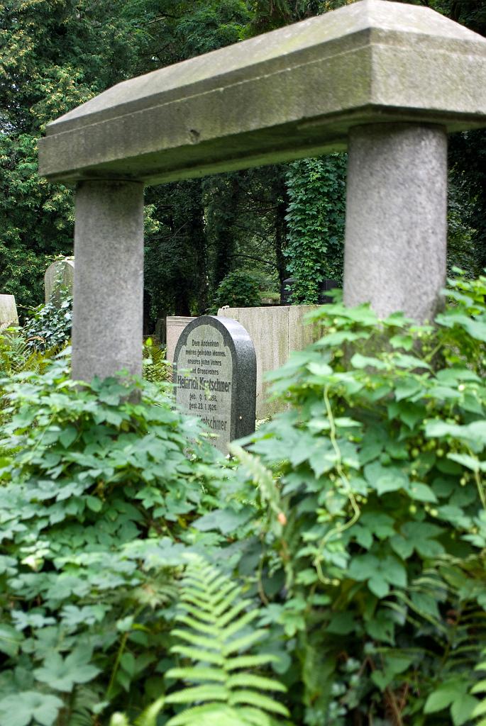 IMGP8747.jpg