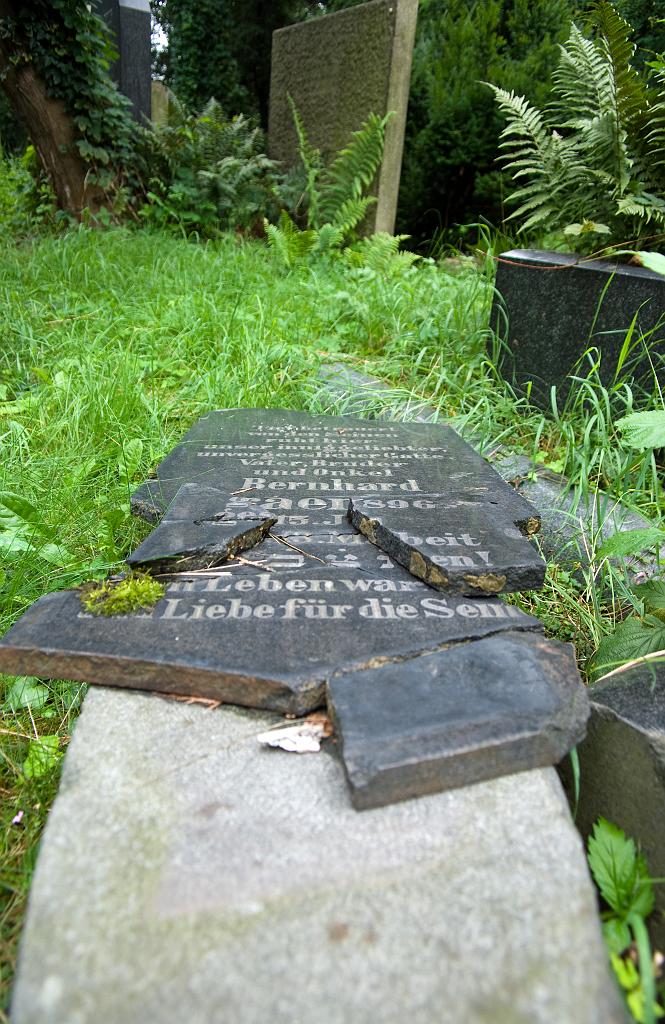 IMGP8750.jpg
