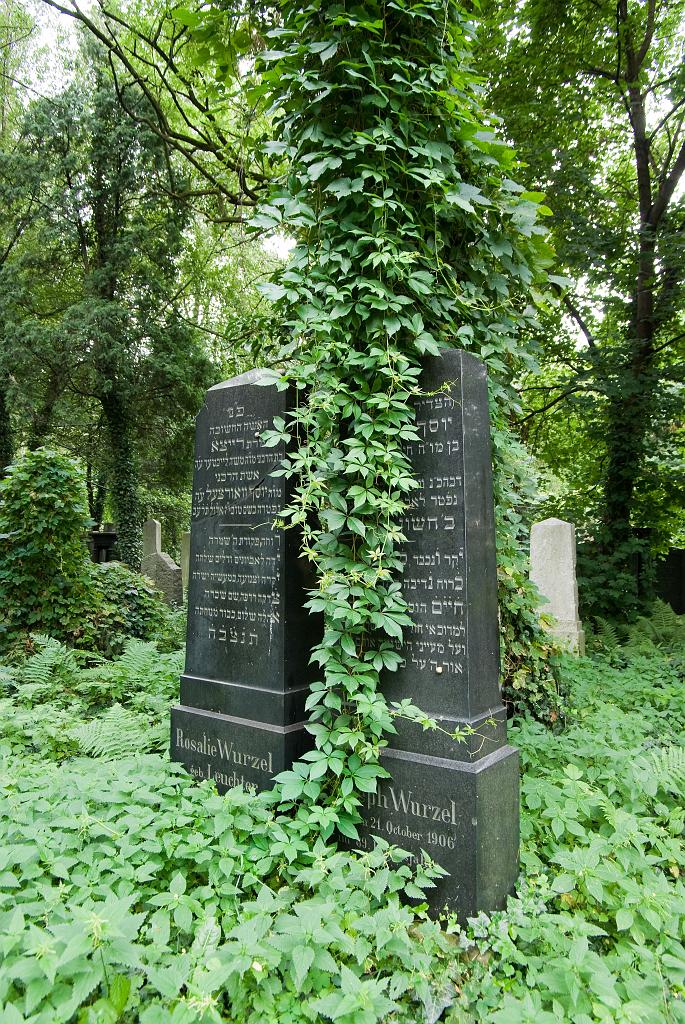 IMGP8752.jpg