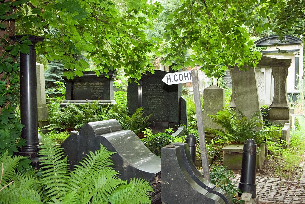 IMGP8753.jpg