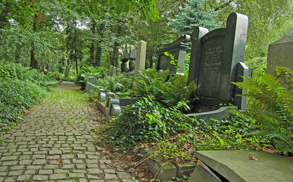 IMGP8755.jpg