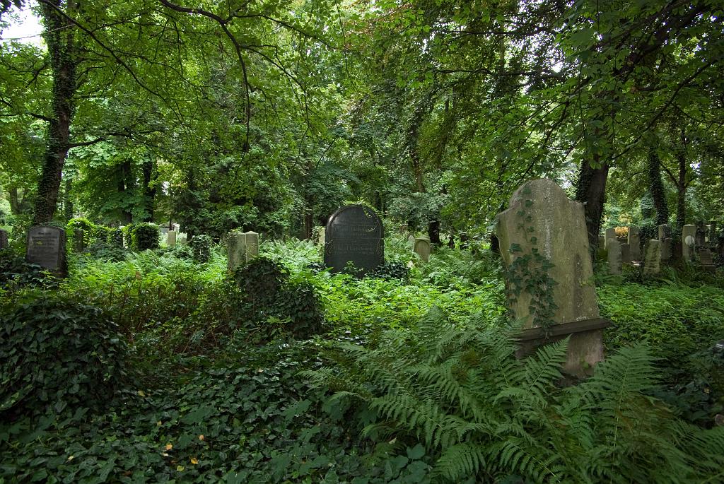 IMGP8759.jpg