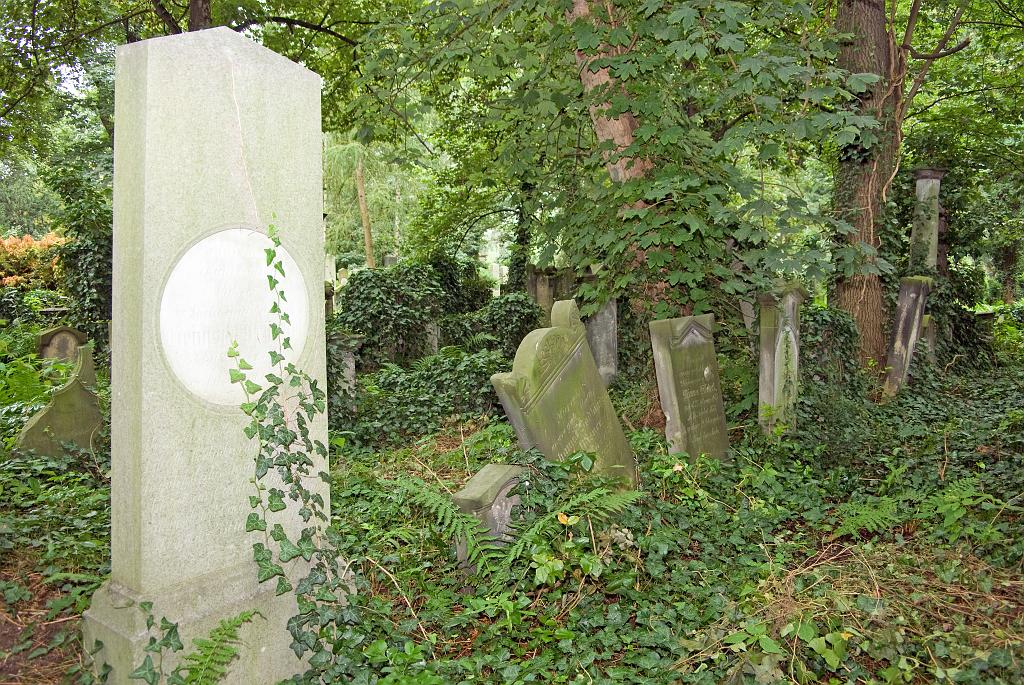 IMGP8771.jpg
