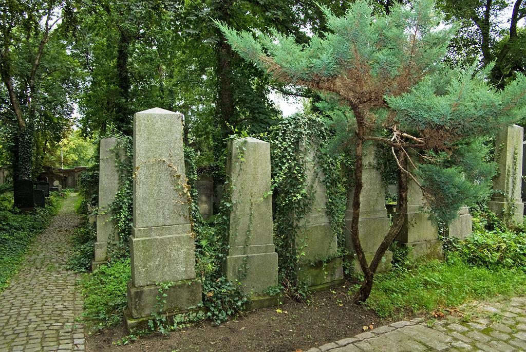 IMGP8772.jpg