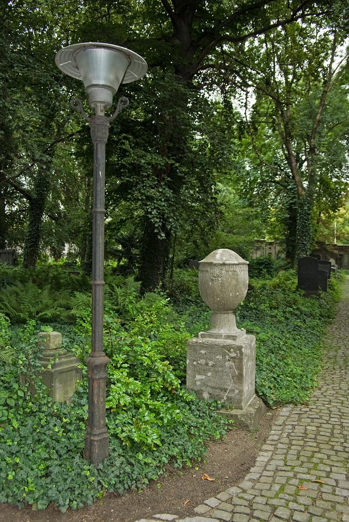 IMGP8773.jpg