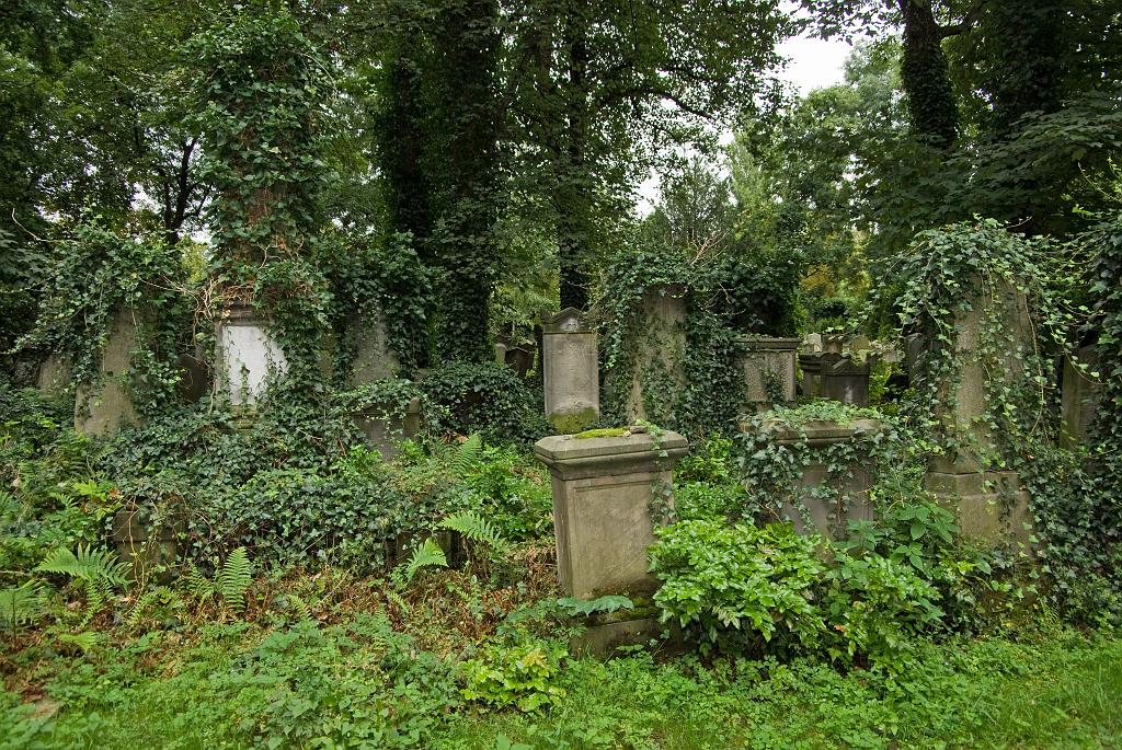 IMGP8774.jpg