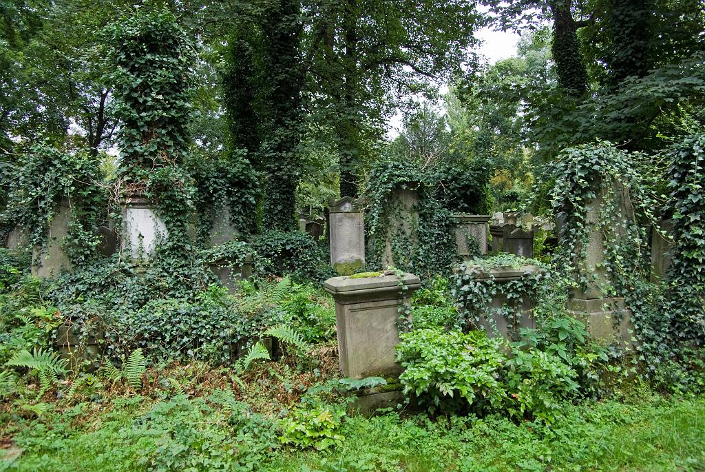 IMGP8775.jpg