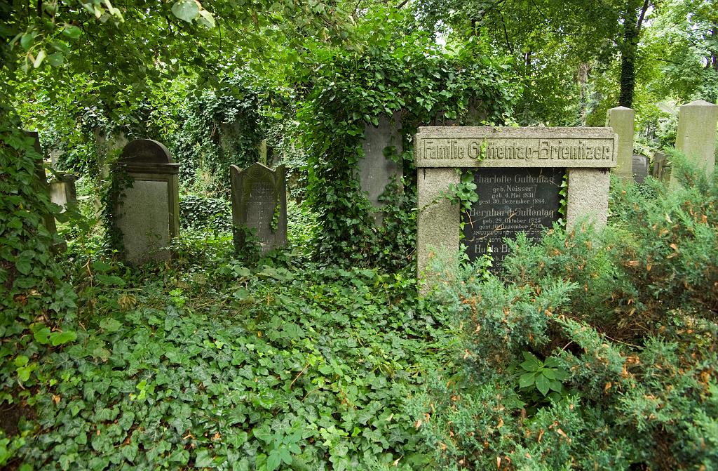 IMGP8778.jpg