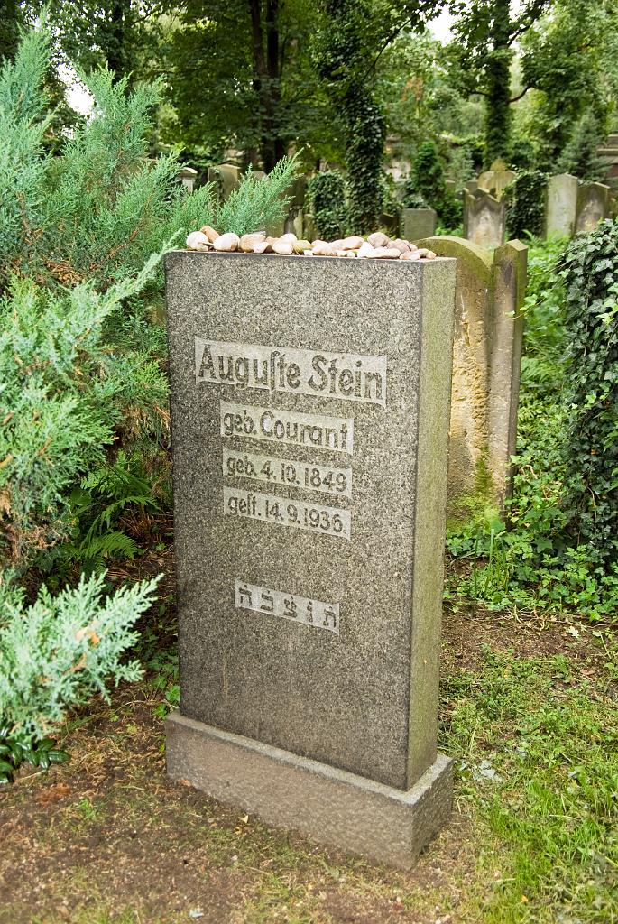 IMGP8783.jpg
