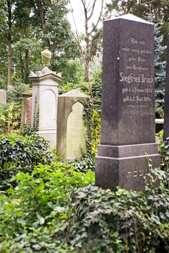 IMGP8784.jpg