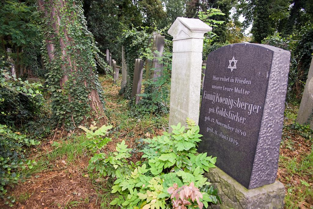IMGP8787.jpg