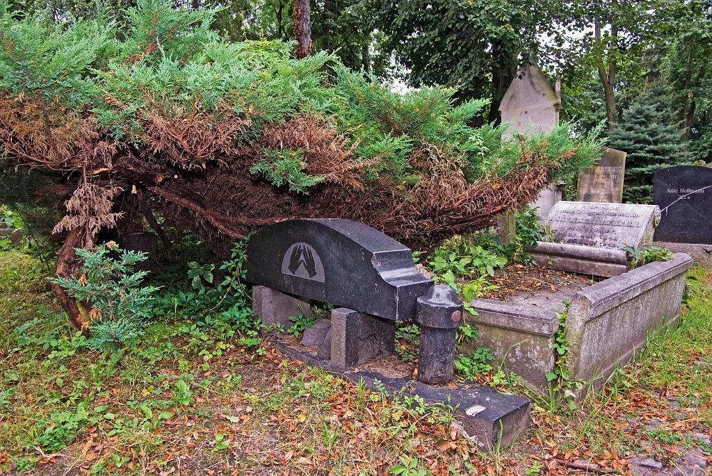 IMGP8790.jpg
