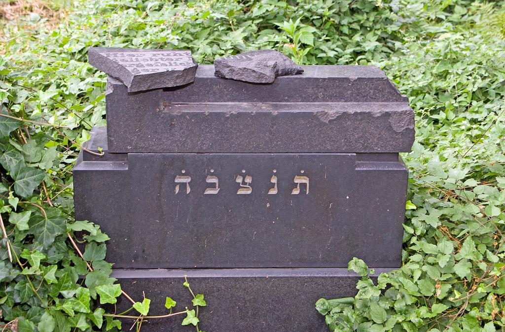 IMGP8792.jpg