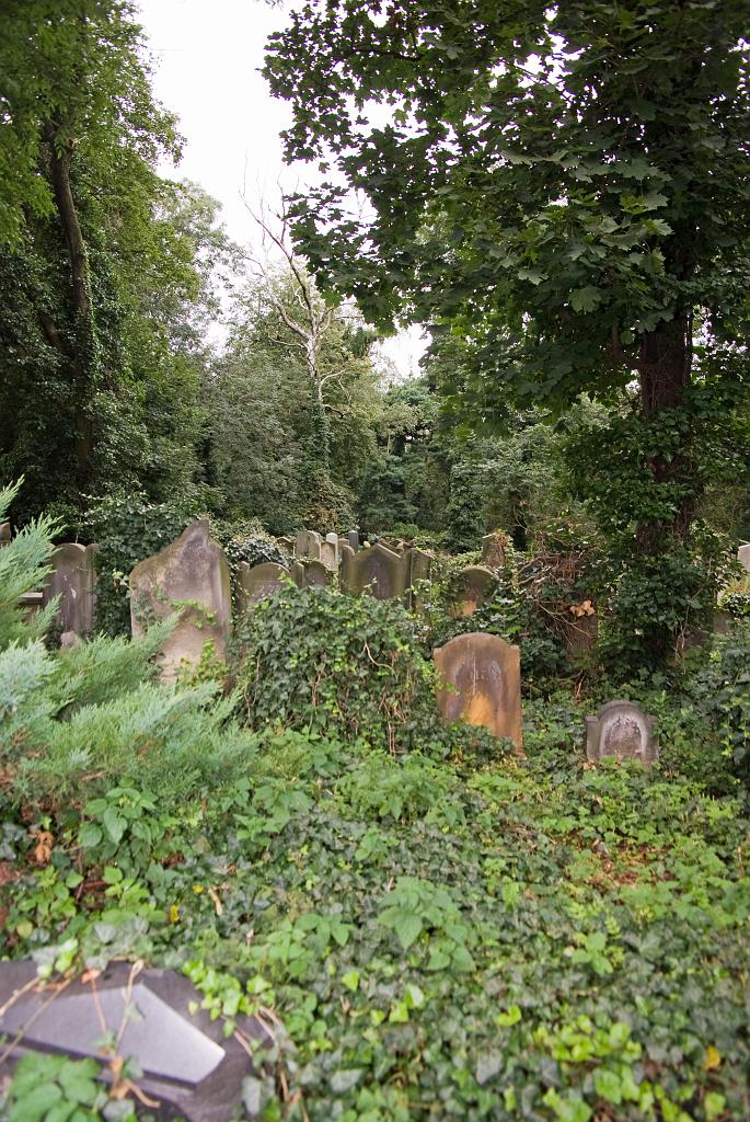IMGP8794.jpg