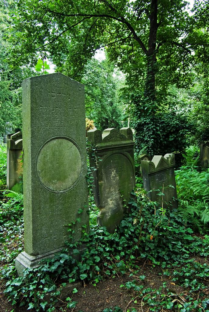 IMGP8816.jpg