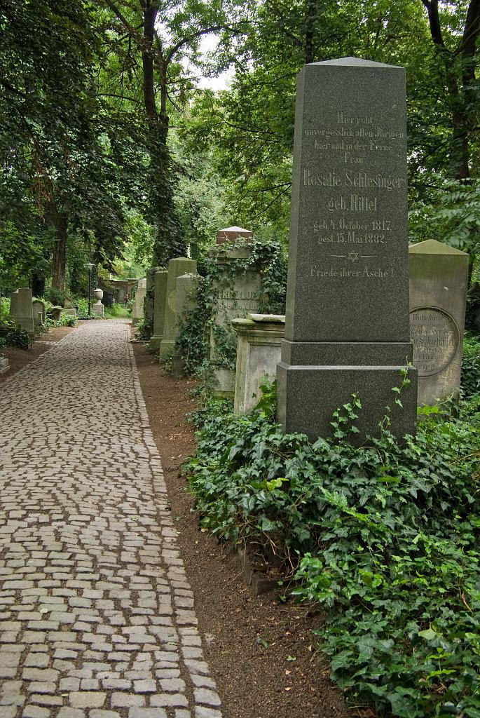 IMGP8822.jpg