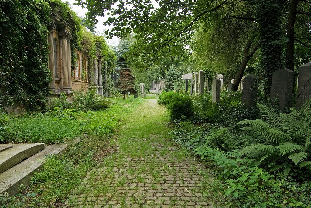 IMGP8828.jpg