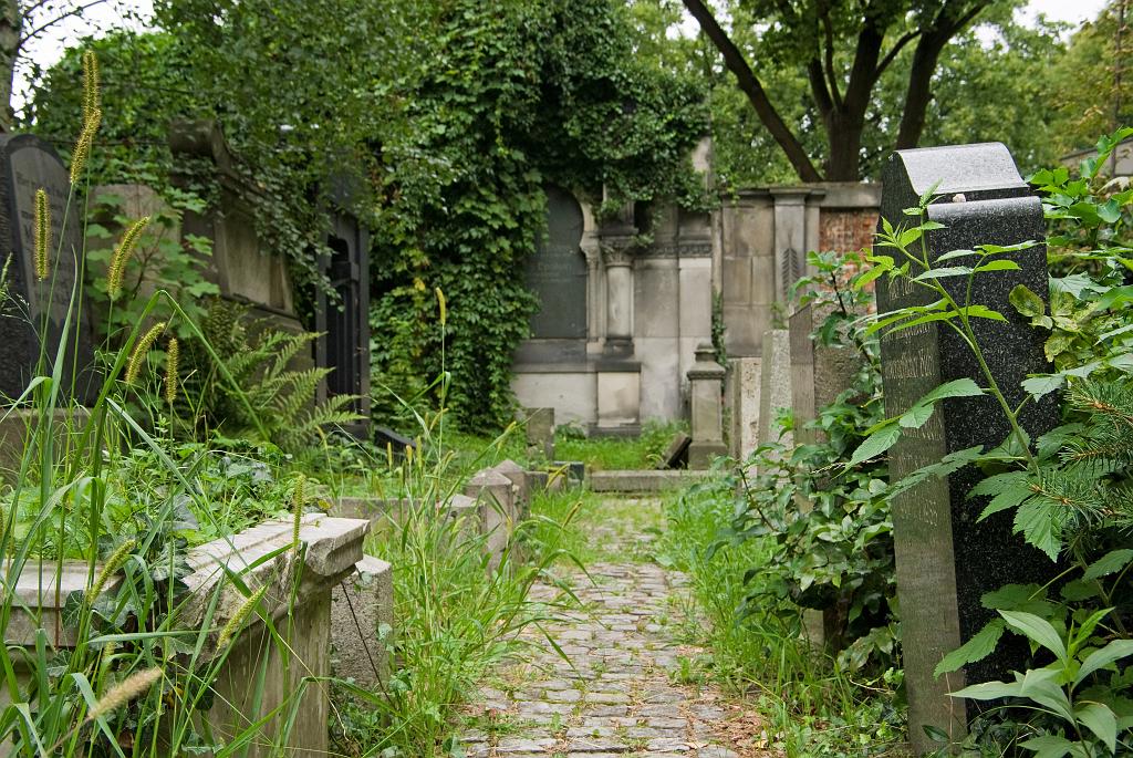 IMGP8842.jpg