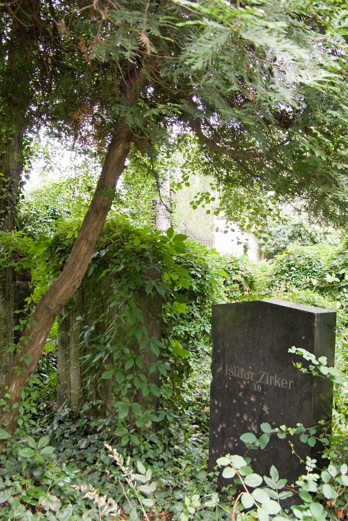 IMGP8852.jpg