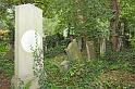 IMGP8771