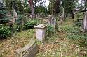 IMGP8788