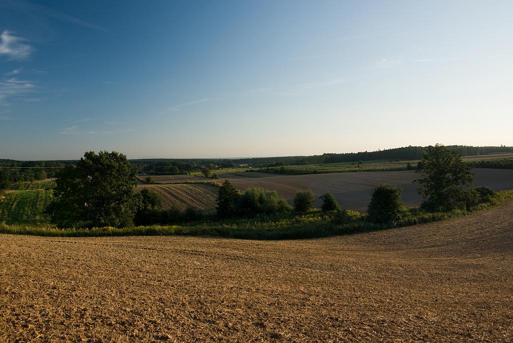 IMGP8932-01.jpg
