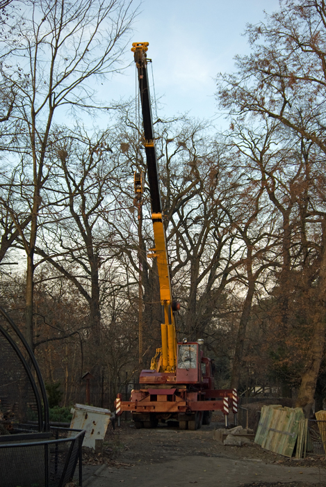 IMGP1889-wr.jpg