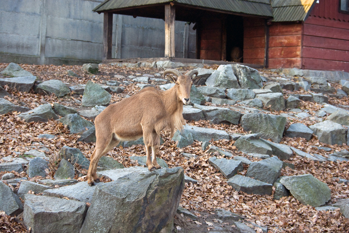 IMGP1905-wr.jpg