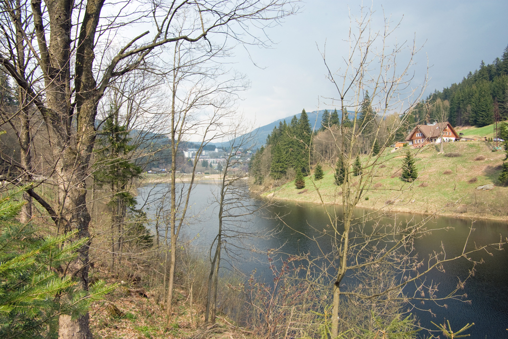 IMGP3254-01.jpg