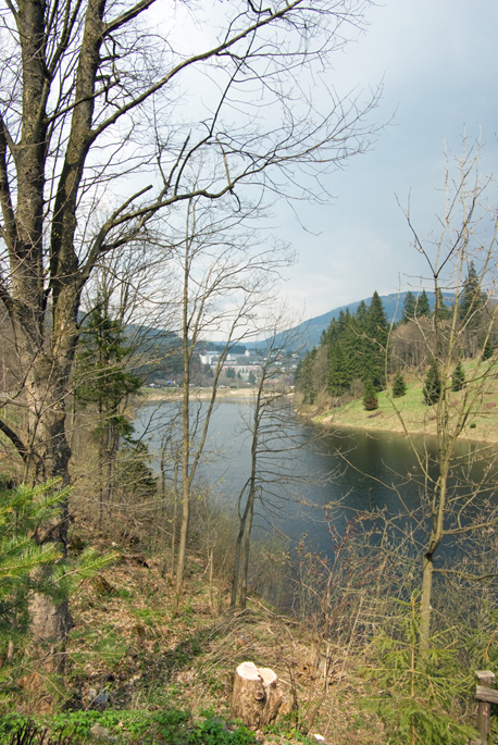 IMGP3255-01.jpg