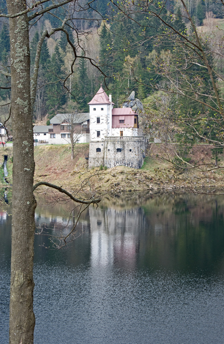 IMGP3277-01.jpg