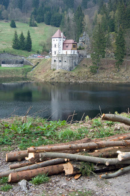 IMGP3281-01.jpg