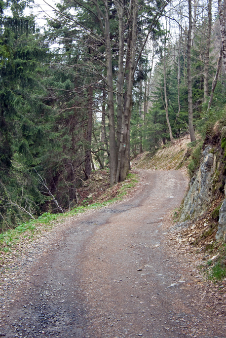 IMGP3325-01.jpg