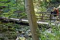 IMGP4454-01