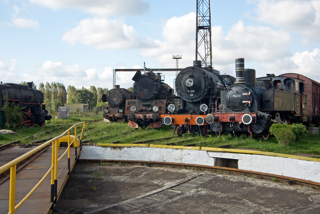 IMGP4865-01.jpg