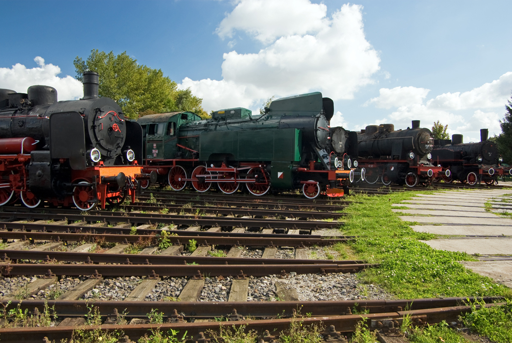 IMGP4939-01.jpg