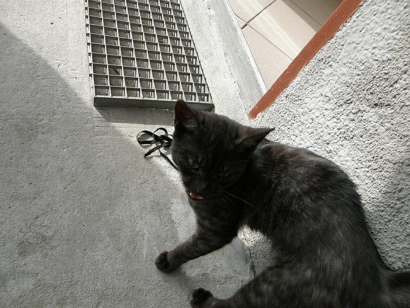 P8236228.JPG