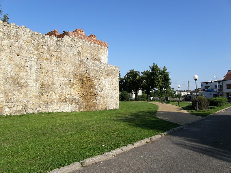 P8246270.JPG
