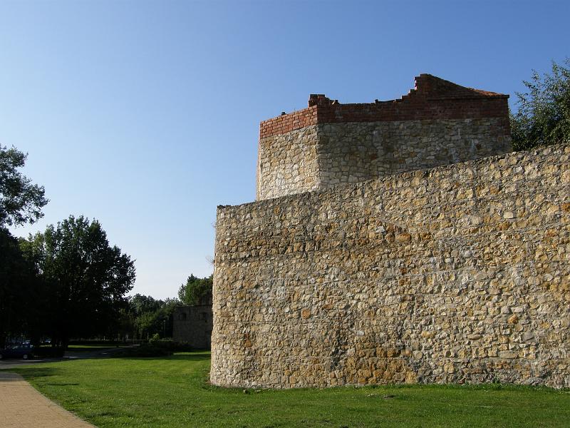 P8246274.JPG