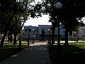 P8246336