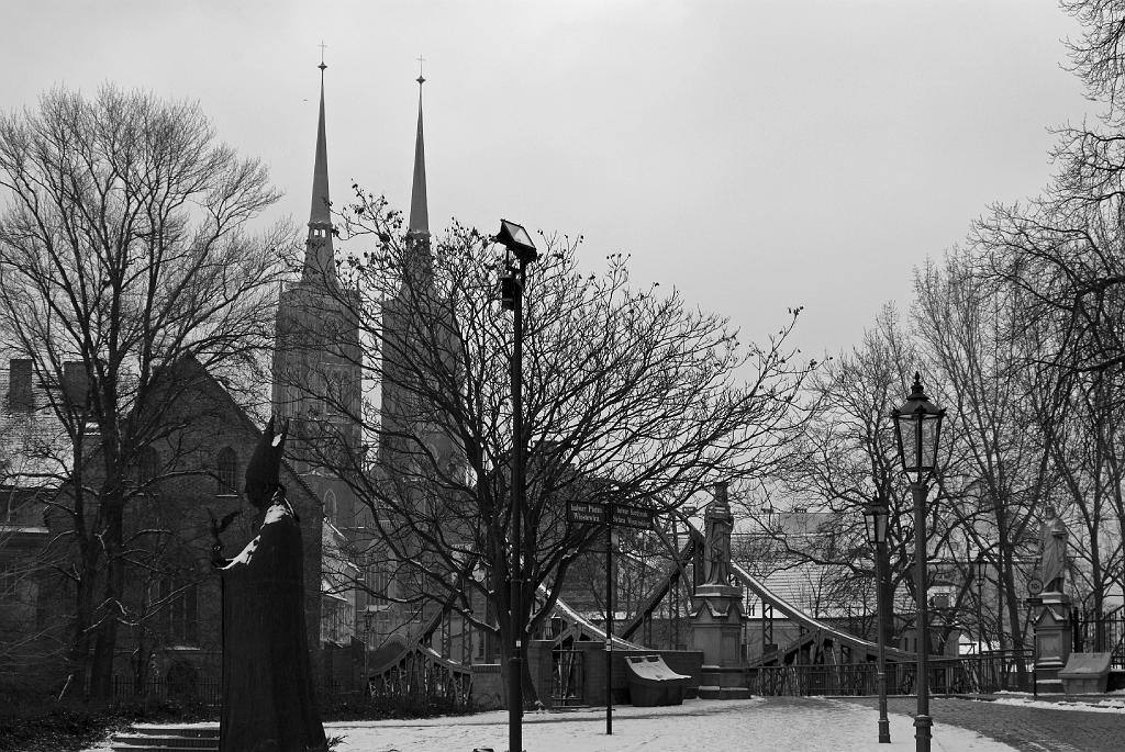 IMGP3645-001.jpg